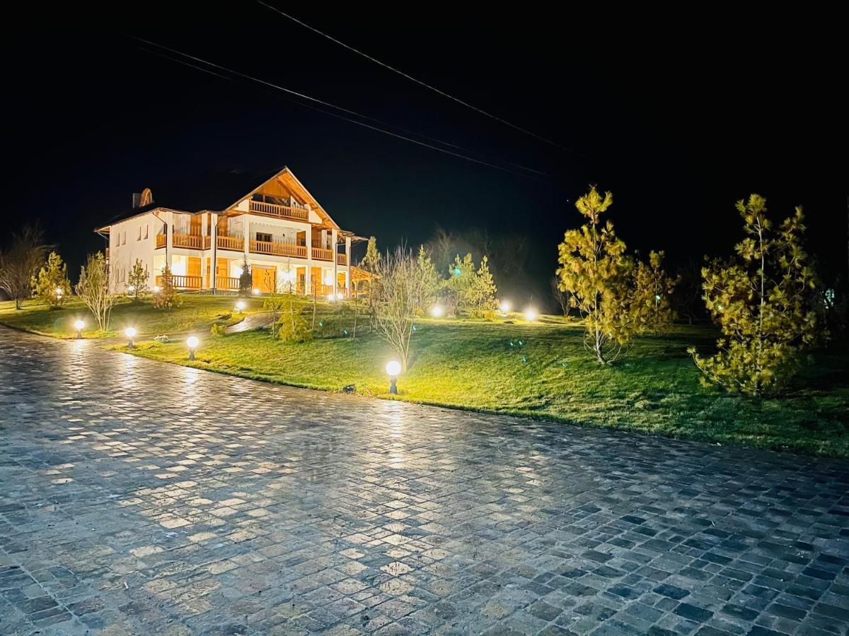 Pensiunea Coronita Vişeu de Sus Exteriér fotografie