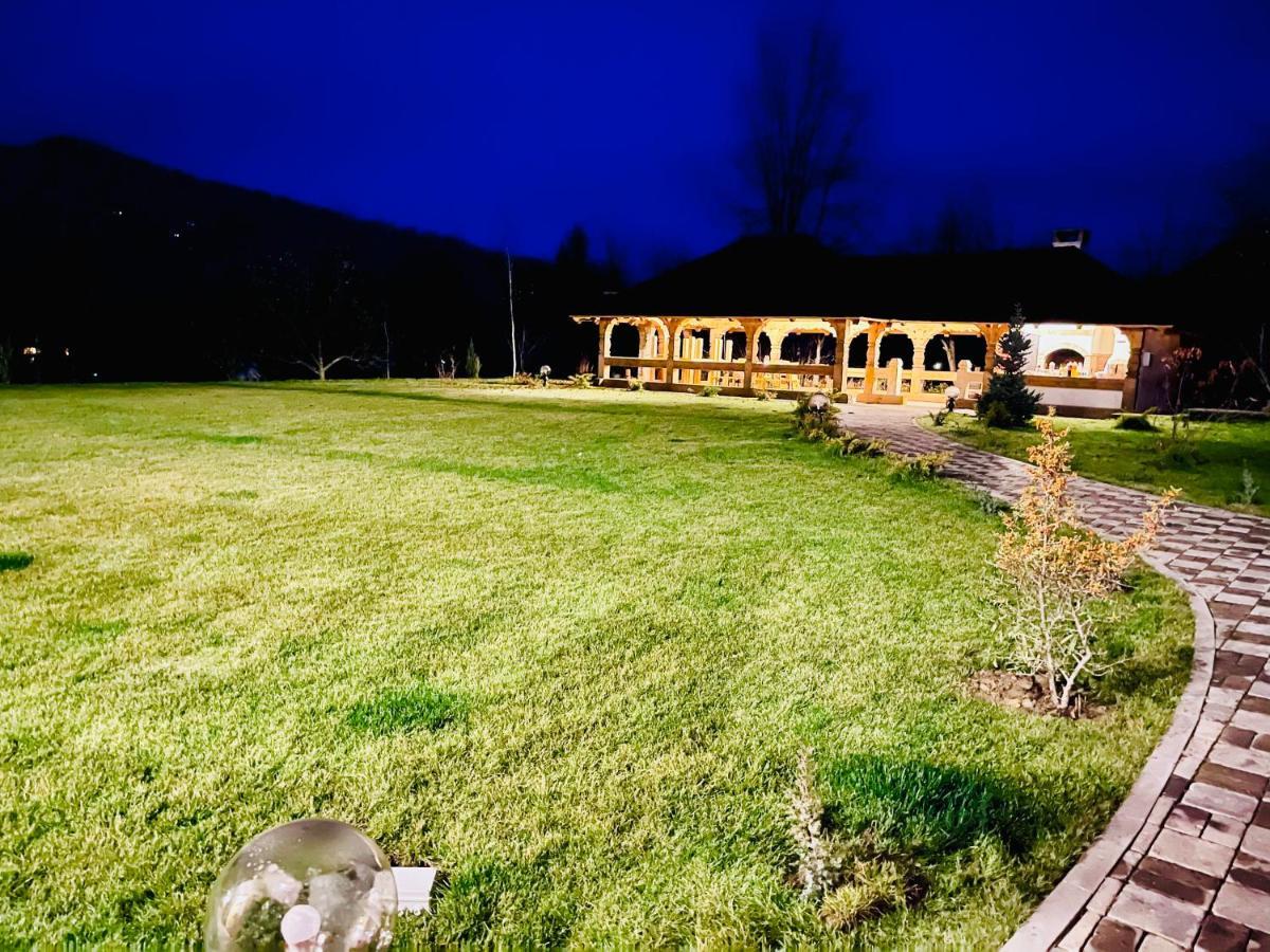 Pensiunea Coronita Vişeu de Sus Exteriér fotografie