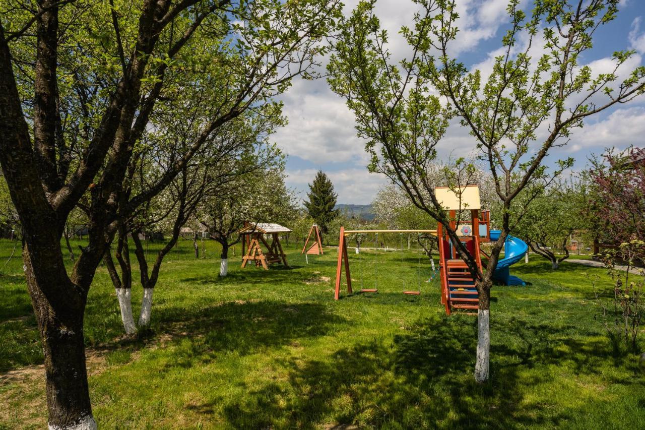 Pensiunea Coronita Vişeu de Sus Exteriér fotografie