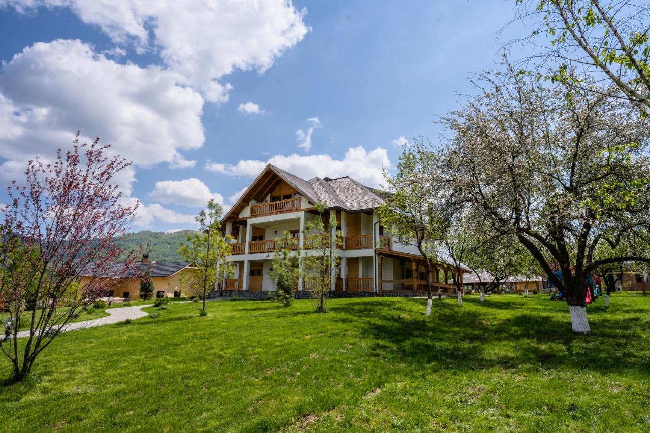 Pensiunea Coronita Vişeu de Sus Exteriér fotografie